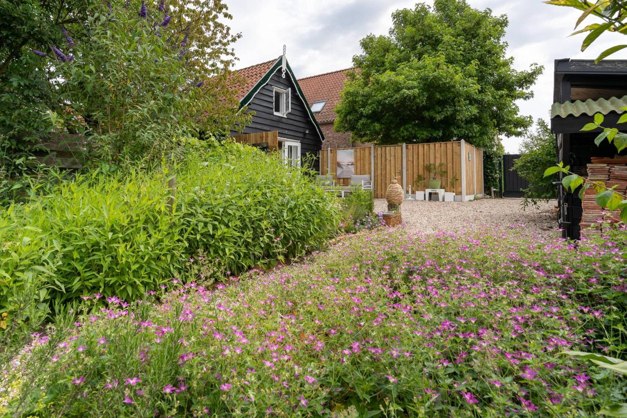 Vila Hello Zeeland - Schoolstraat 6A Vrouwenpolder Exteriér fotografie
